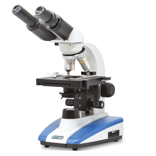 Microscopio Biologico OrmaStudent Modello OXSP128BL400 Eurotek